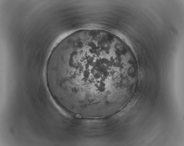 X0000115121429200911101617