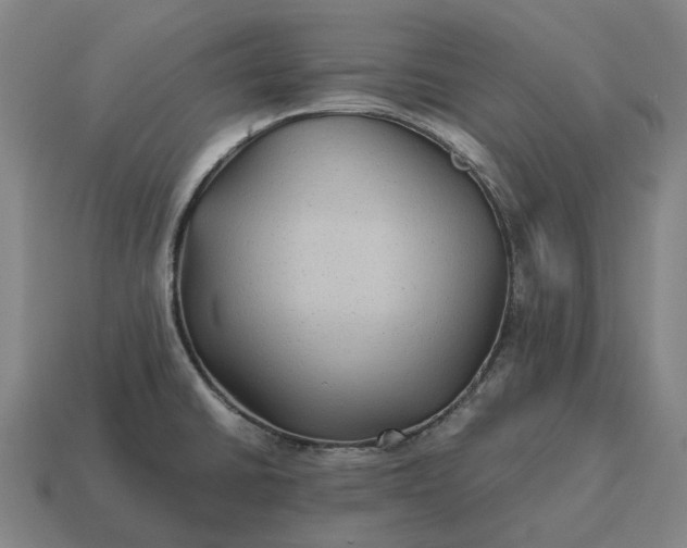 X0000115121430200911101617