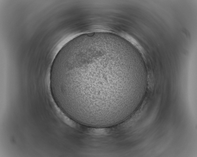 X0000115121431200911101617