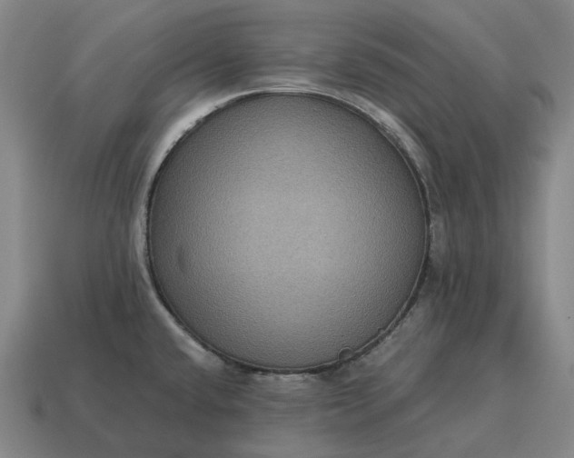 X0000115121432200911101617