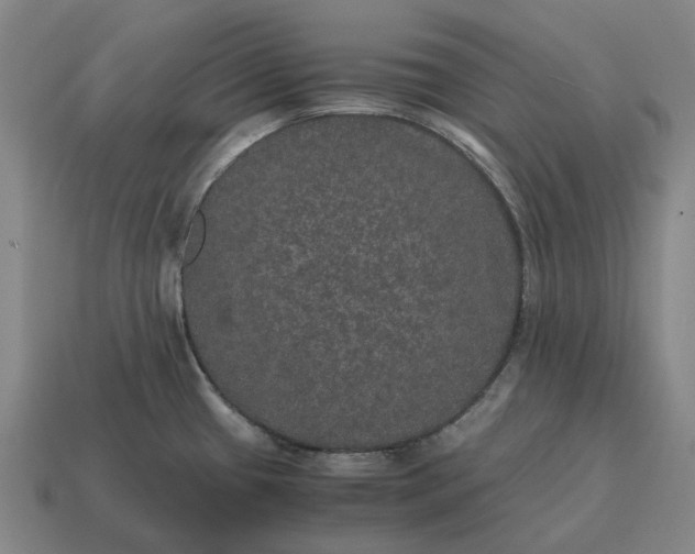 X0000115121433200911101617