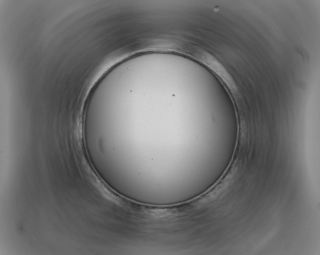 X0000115121436200911101617