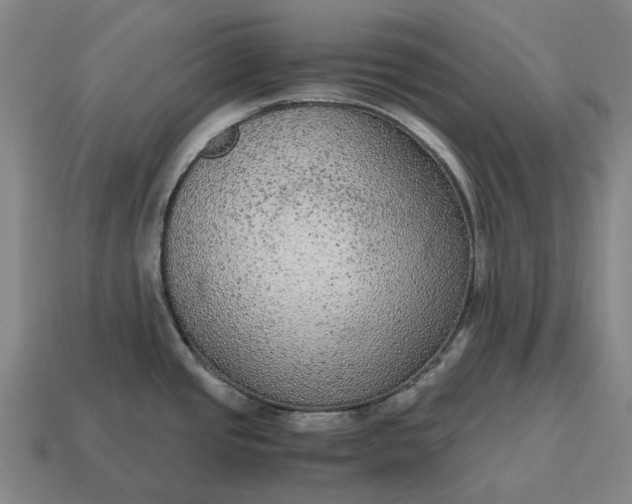 X0000115121437200911101617