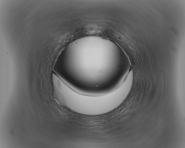 X0000115121441200911101617