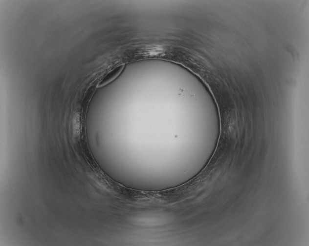 X0000115121442200911101617