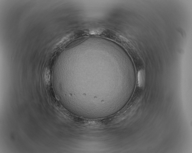 X0000115121443200911101617