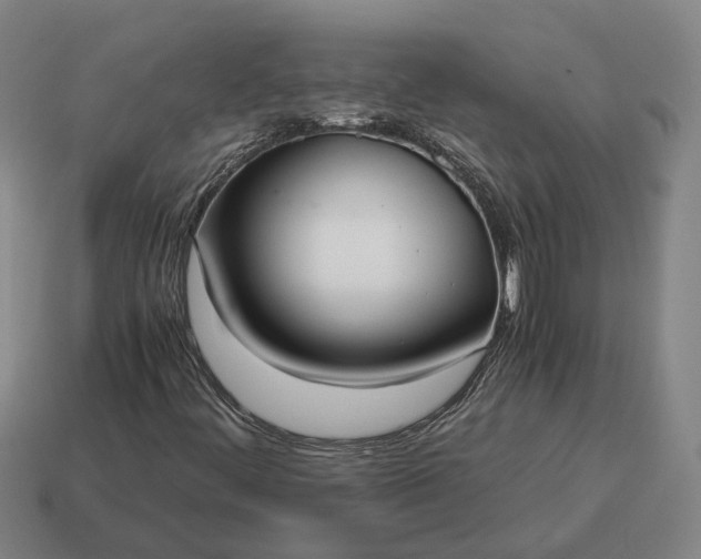 X0000115121444200911101617