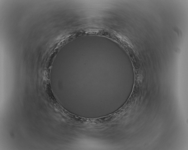 X0000115121445200911101617