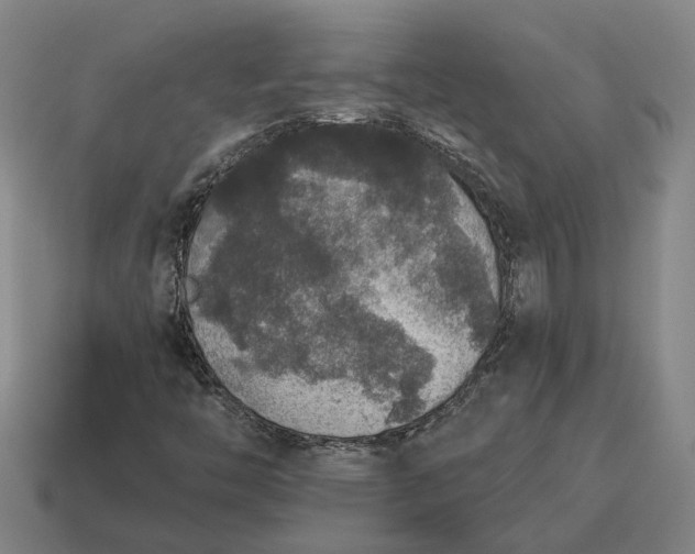 X0000115121446200911101617