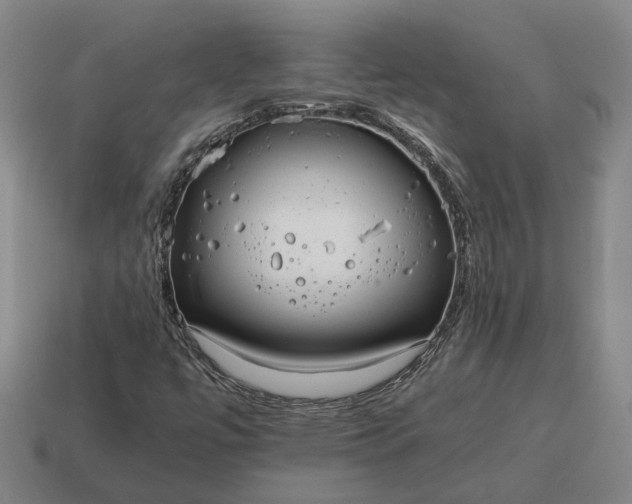 X0000115121447200911101617