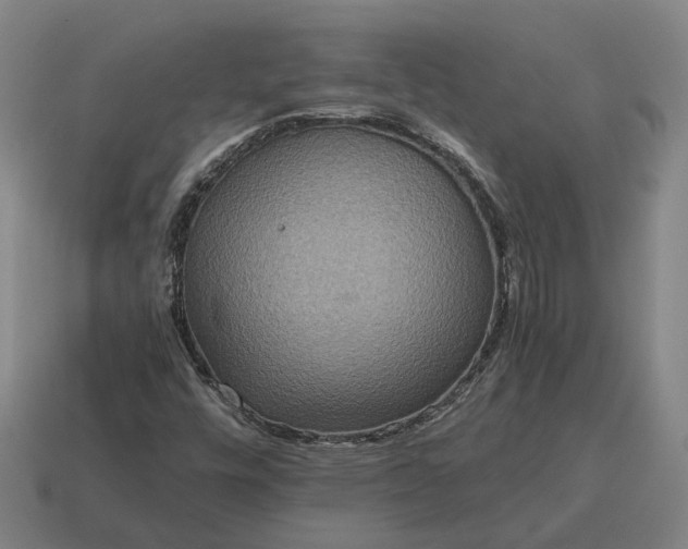X0000115121448200911101617