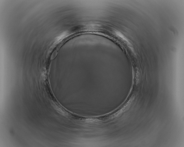 X0000115121449200911101617