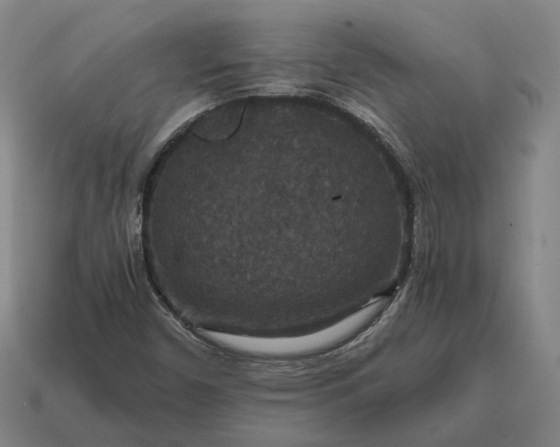 X0000115121450200911101617