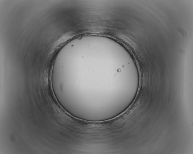 X0000115121451200911101617