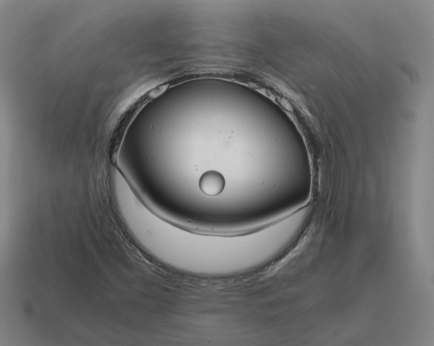 X0000115121453200911101617