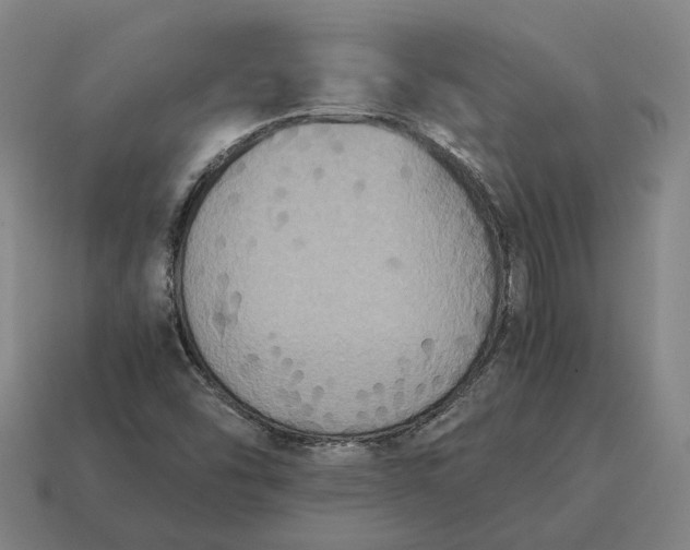 X0000115121454200911101617