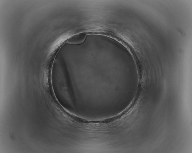 X0000115121455200911101616