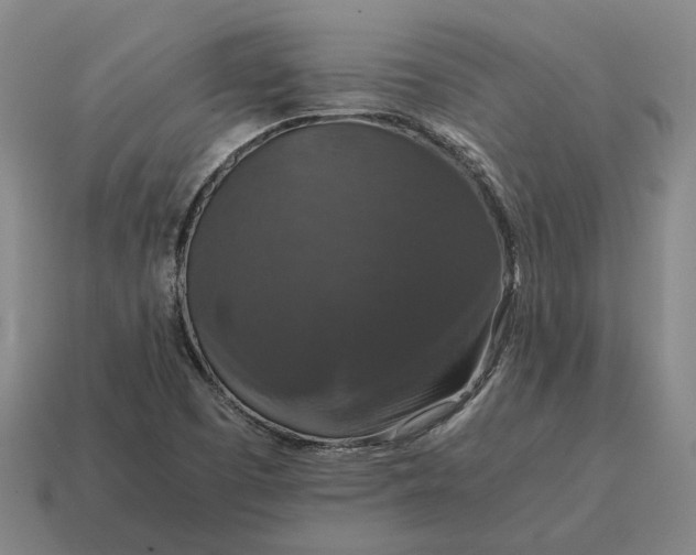 X0000115121457200911101616