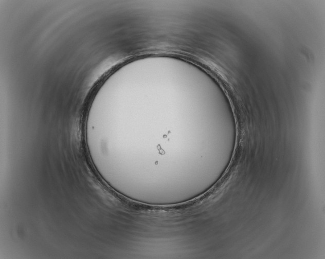 X0000115121458200911101616