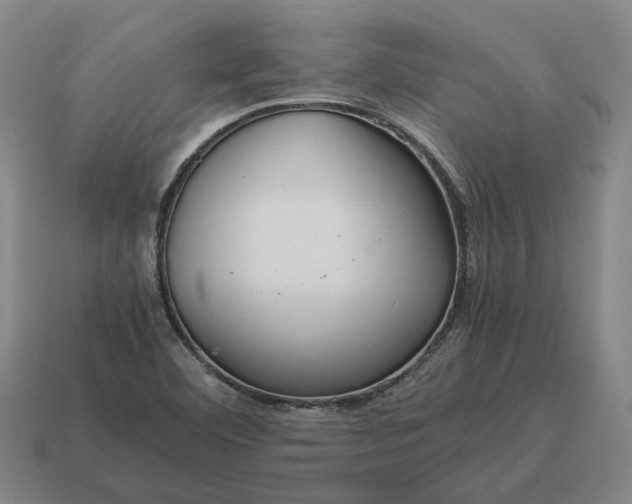 X0000115121460200911101616
