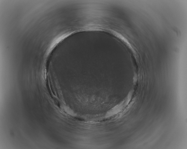 X0000115121461200911101616