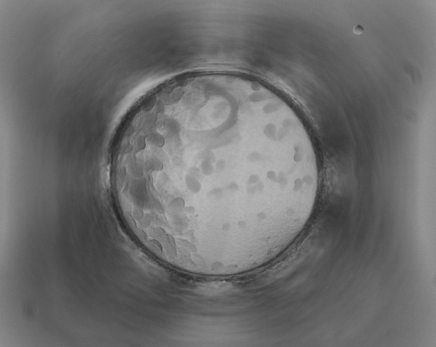 X0000115121462200911101616