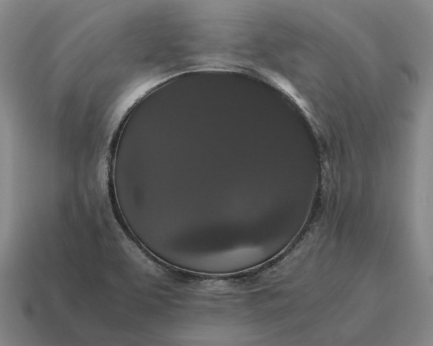 X0000115121463200911101616