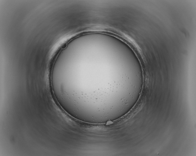 X0000115121464200911101616