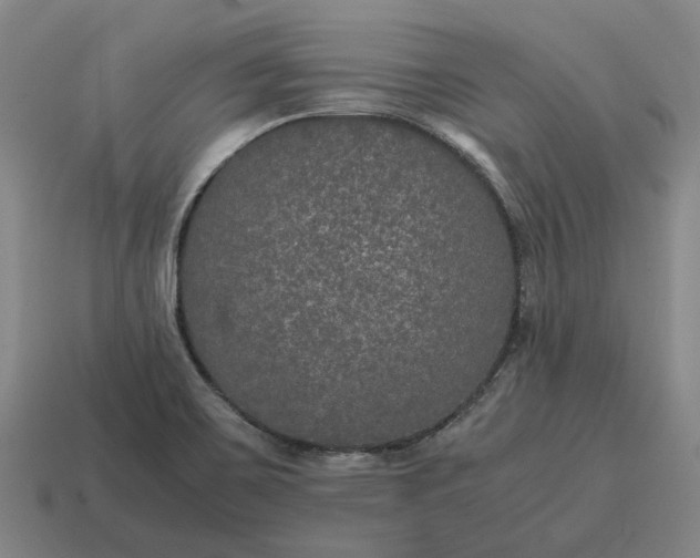 X0000115121467200911101616