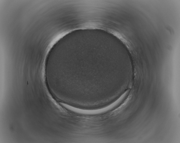 X0000115121469200911101616