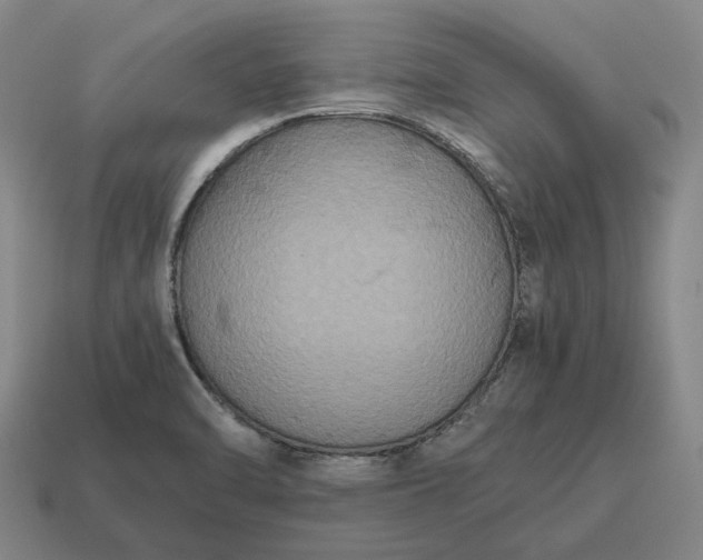X0000115121470200911101616