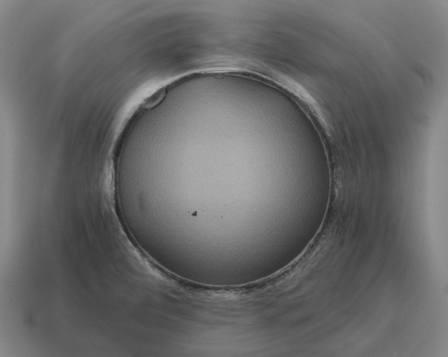 X0000115121472200911101616