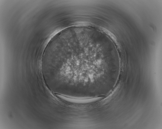 X0000115121473200911101616