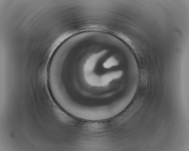 X0000115121474200911101616