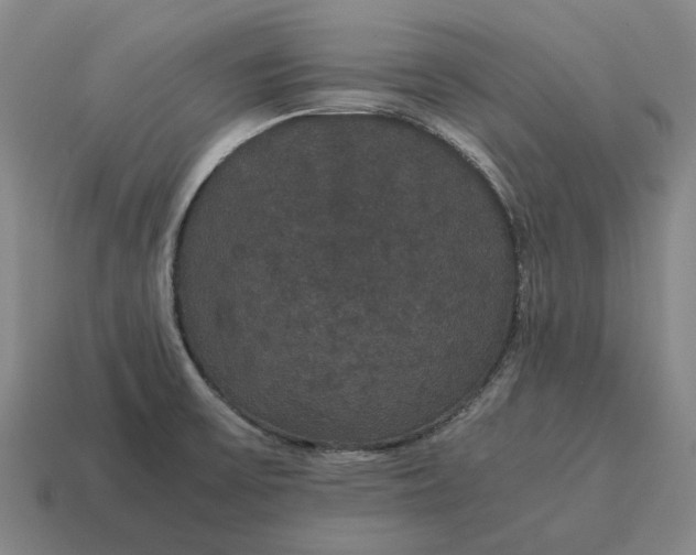 X0000115121475200911101616