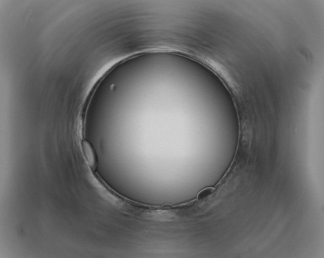 X0000115121476200911101616