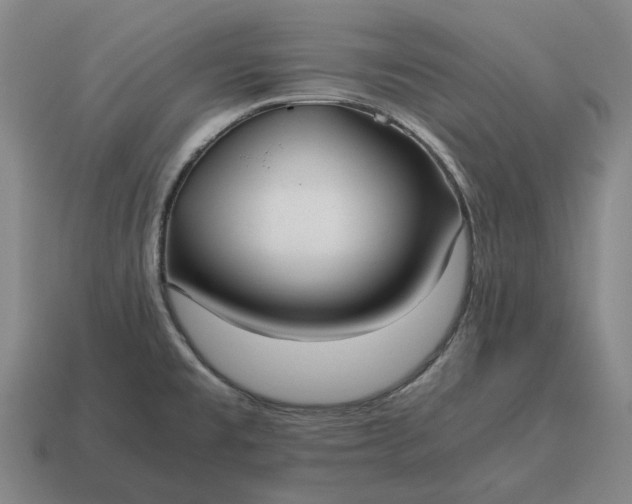 X0000115121477200911101616