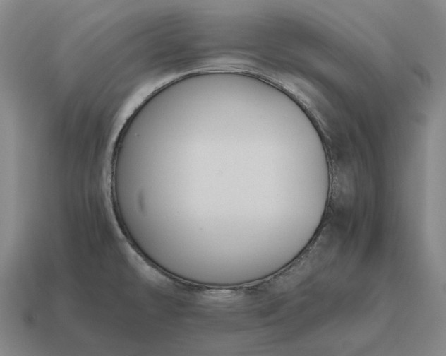 X0000115121478200911101616