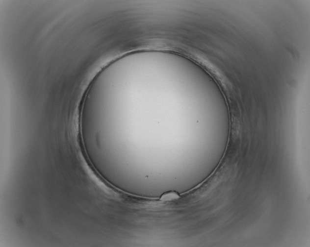 X0000115121479200911101616