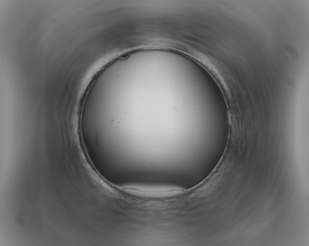 X0000115121480200911101616
