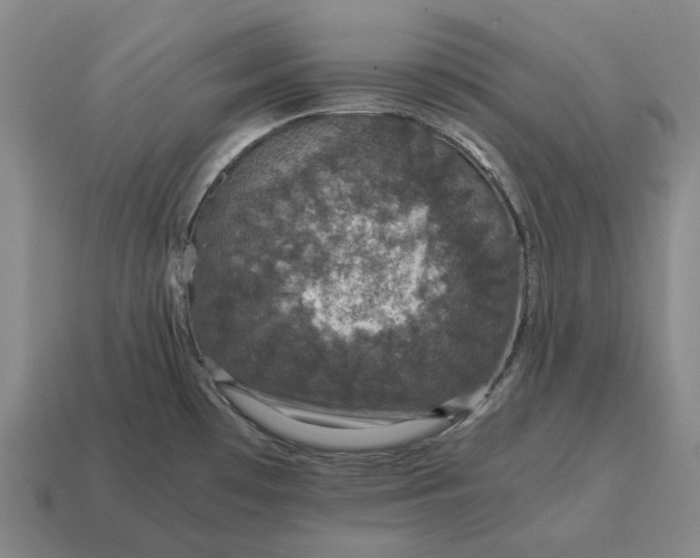 X0000115121481200911101616