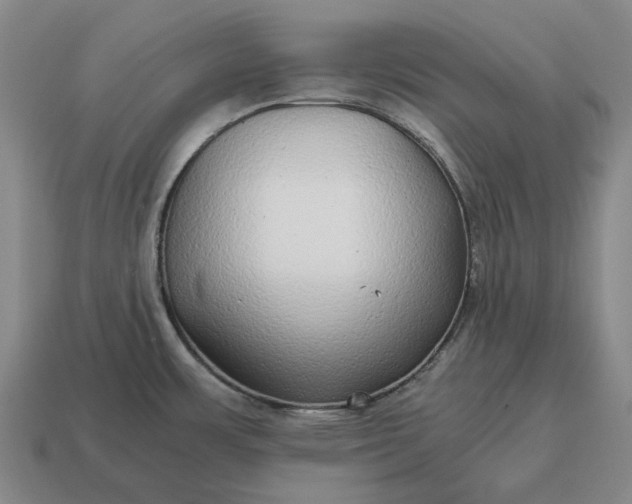 X0000115121483200911101616