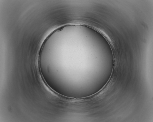 X0000115121484200911101616