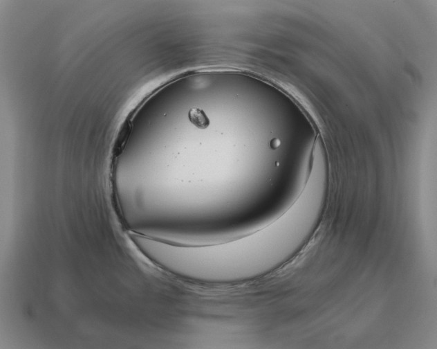 X0000115121485200911101616