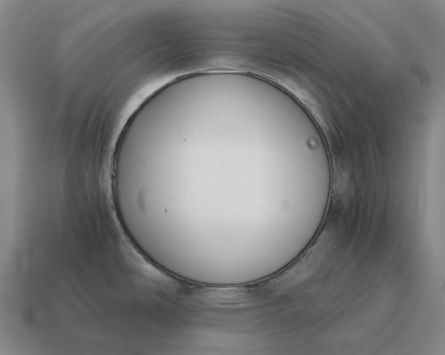 X0000115121486200911101616