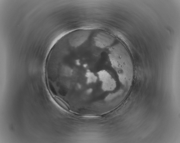 X0000115121487200911101616