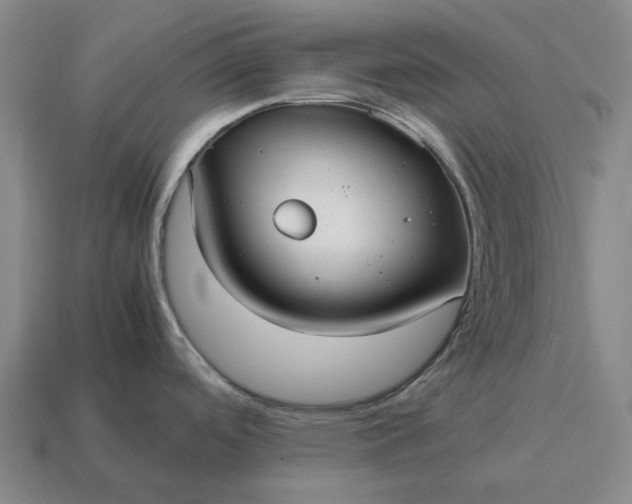 X0000115121488200911101616