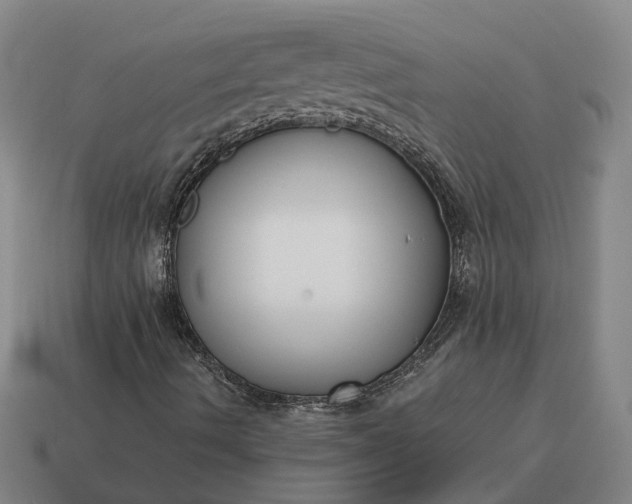 X0000115121490200911101615