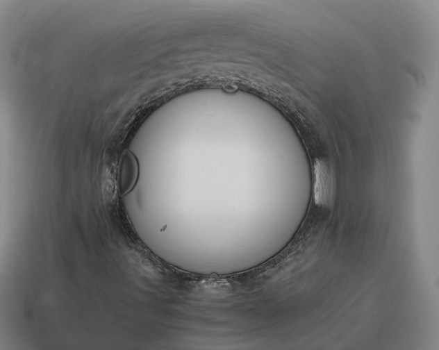 X0000115121491200911101615