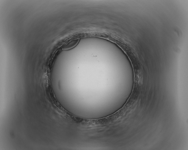 X0000115121493200911101616